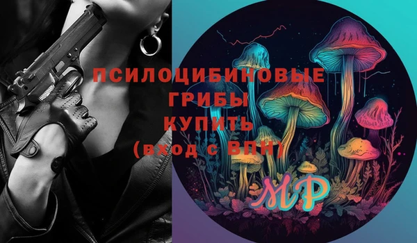 эйфоретик Бородино