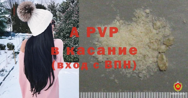 эйфоретик Бородино