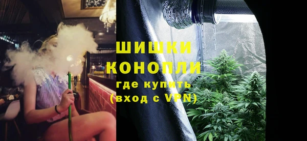 СК Бронницы