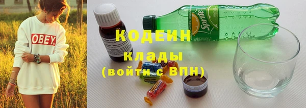 СК Бронницы