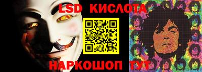 прущие крисы Бийск