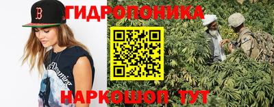 ГАЛЛЮЦИНОГЕННЫЕ ГРИБЫ Берёзовский