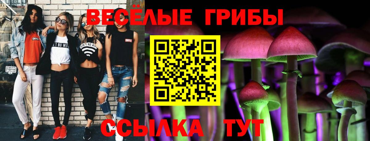 Псилоцибиновые грибы ЛСД  Вход с VPN  Выборг 