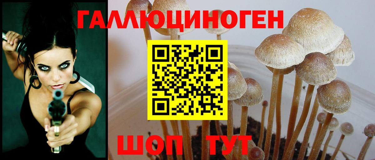 Галлюциногенные грибы GOLDEN TEACHER Выборг